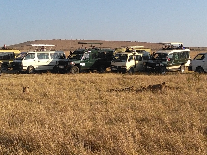 3 Days 2 Nights Masai Mara Balloon Combined Short Safari Itinerary Tour