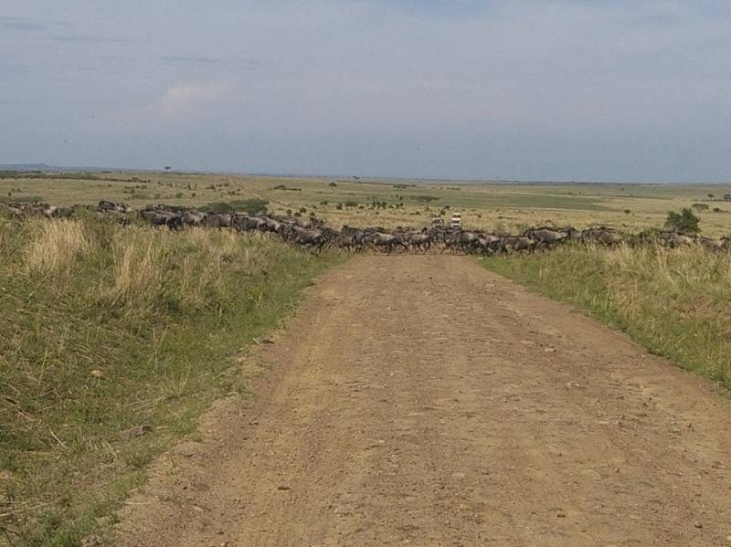 3 Days 2 Nights Masai Mara Balloon Combined Short Safari Itinerary Tour