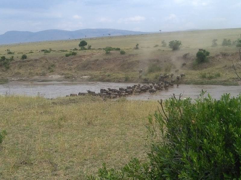 3 Days 2 Nights Masai Mara Balloon Combined Short Safari Itinerary Tour