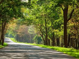 2 Nights Ooty Tour Package