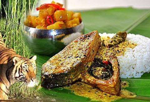 Sundarban Hilsa Festival 2019 Tour