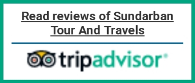 Sundarban Hilsa Festival 2019 Tour