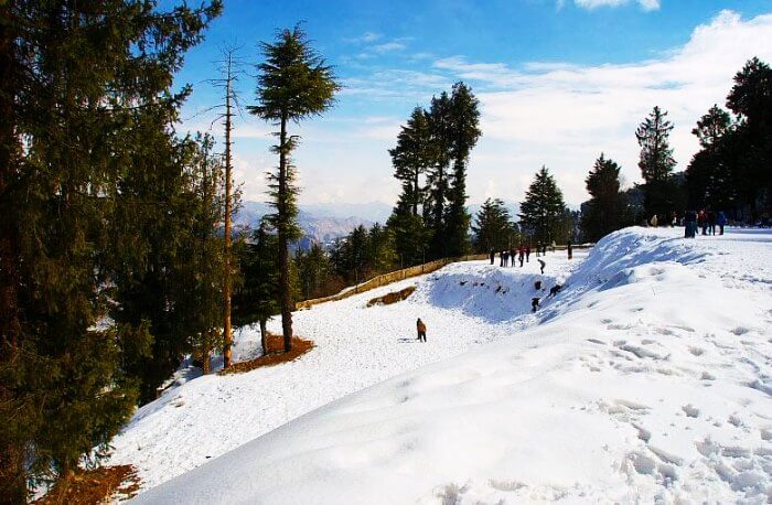 4 Nights / 5 Days Calling Tour Shimla