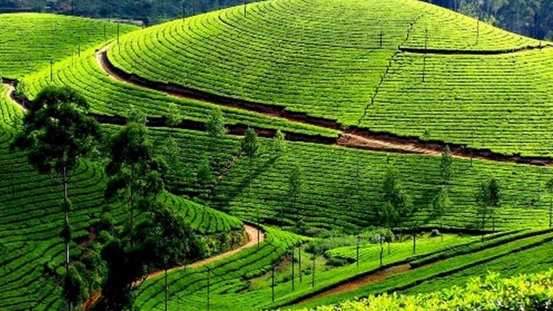 Kerala - A Perfect For Holidaying And Honeymoon (6 Nights – 7 Days)