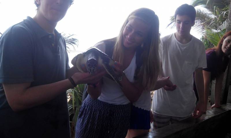 Sri Lanka Turtle Conservation Program Tour