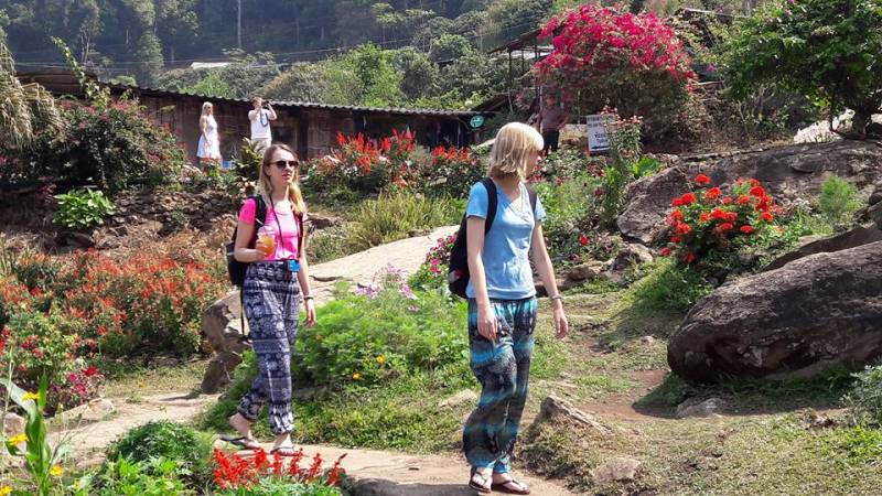 Chiang Mai Volunteer Program Tour