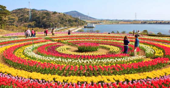 Honeymoon Delight Package