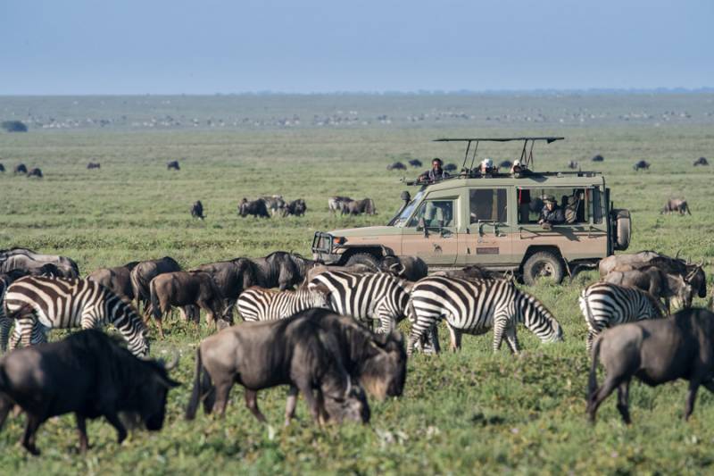 South Africa with Kenya Tour