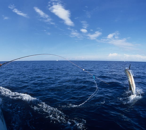 Thailand Classic - Family Special - 2019 Tour