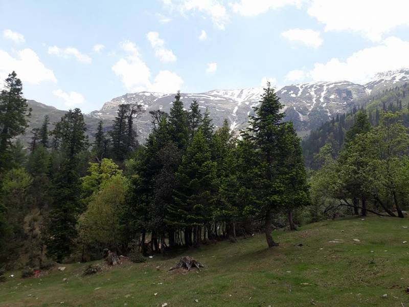 5 Night 6 Days Shimla Kullu Manali Tour (1 Couple)