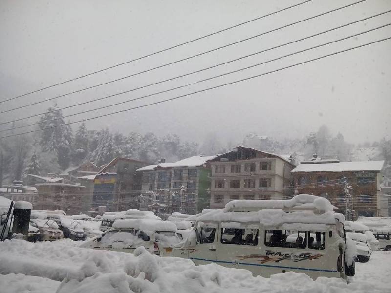 5 Night 6 Days Shimla Kullu Manali Tour (1 Couple)