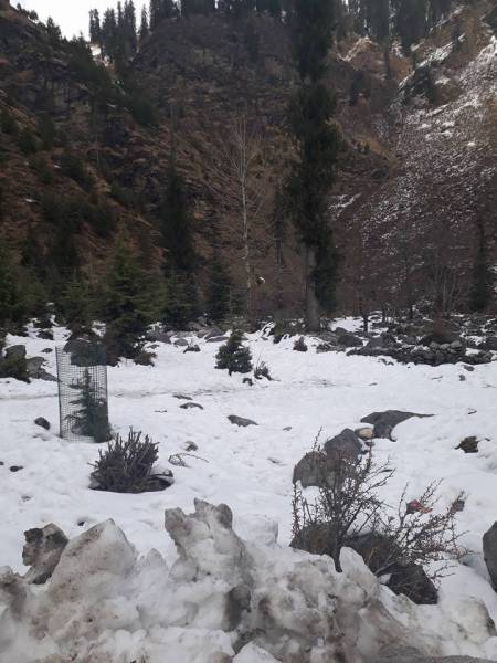 5 Night 6 Days Shimla Kullu Manali Tour (1 Couple)