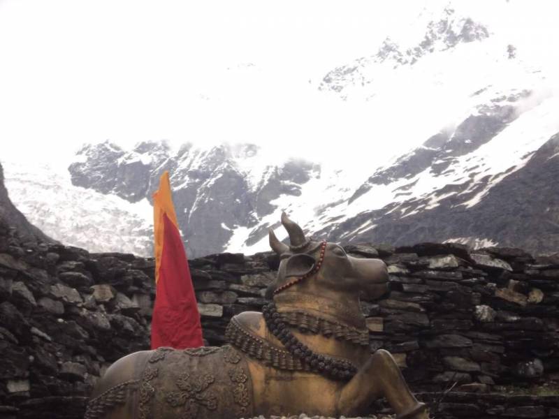 Pindari Glacier Trek Tour