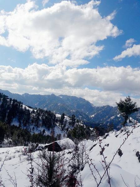 Chanjwala Peak Camping