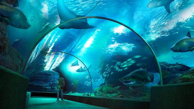 Amazing Thailand 4nights 5days Tour