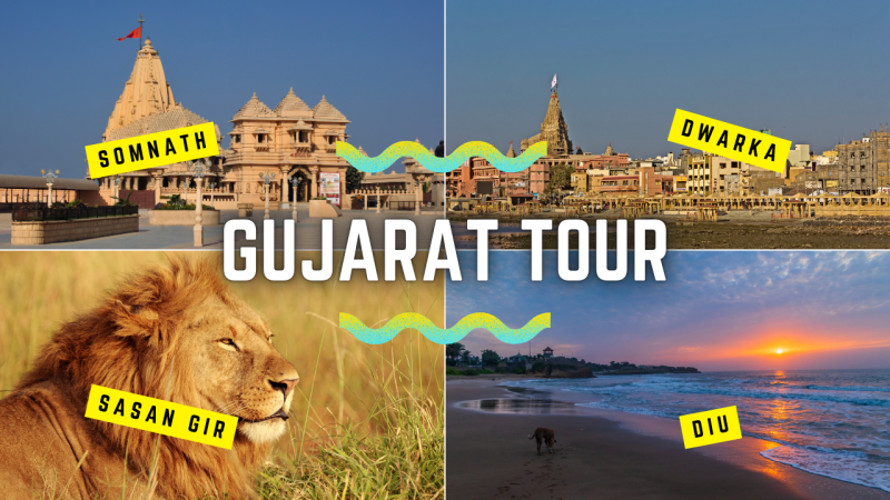 09N 10D Gujarat Tour Package From Vadodara With Statue of Unity- White Runn- Little Runn of Kutch