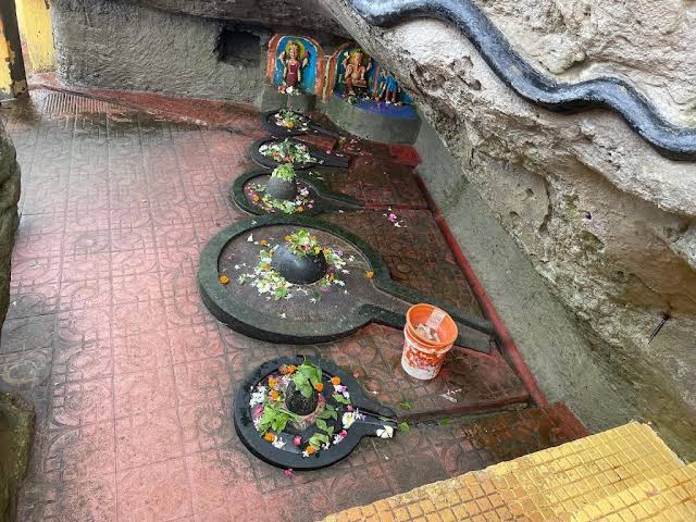 5 Nights 6 Days Diu Sasan Gir Somnath Dwarka Tour From Diu to Diu