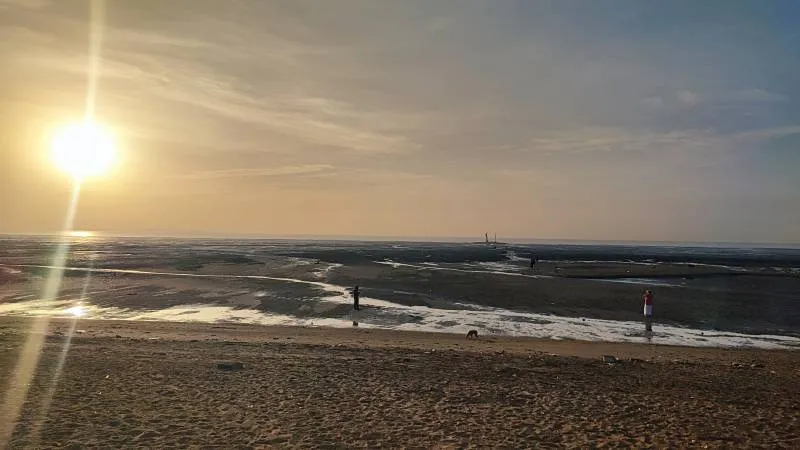 Best of Gujarat With Wildlife Tour