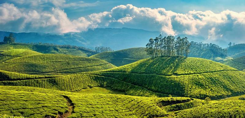 MUNNAR DELIGHT TOUR