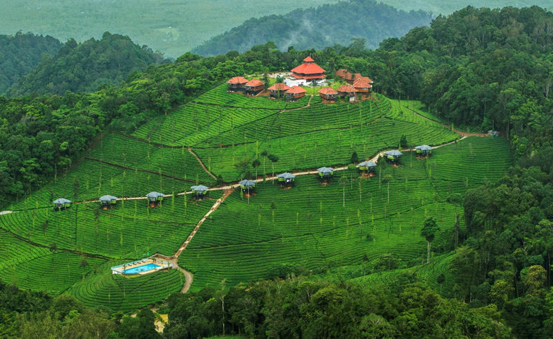 Mysore Coorg Ooty Tour Package 6 Days