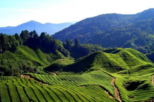Mysore Coorg Ooty Tour Package 6 Days