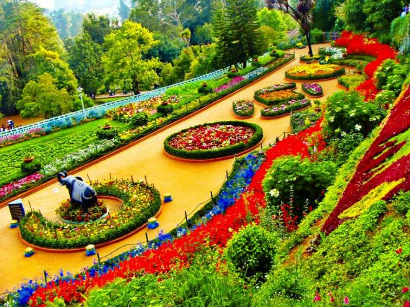 Ooty Coorg 5Days