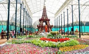 Bangalore Mysore Ooty Tour Package 6 Days Image