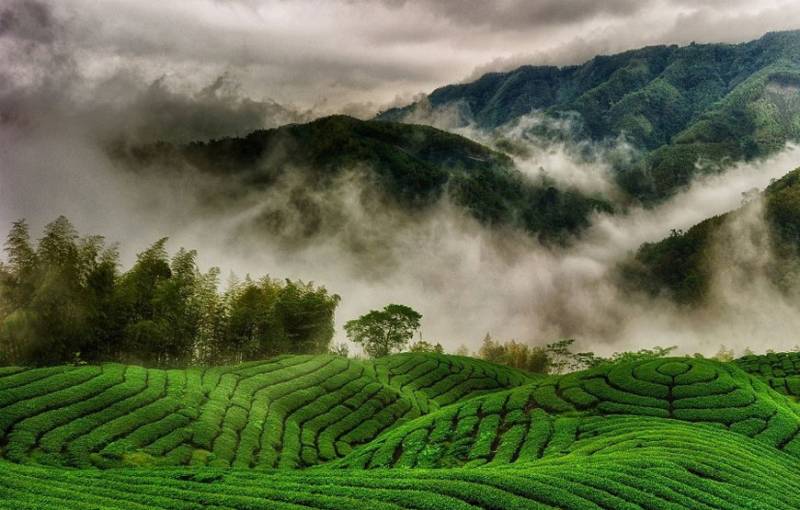 07 DAYS/ 06 NIGHTS Mysore Ooty Kodaikanal