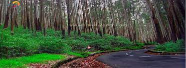 Bangalore Mysore Ooty Kodaikanal Tour Package 8 Days