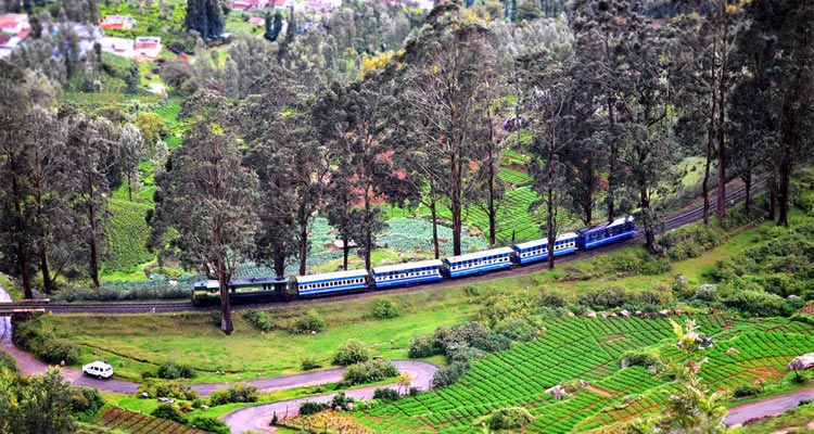 Mysore Coorg Ooty Kodaikanal Tour Package 10 Days