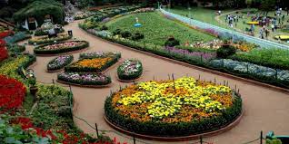 Tirupati Mysore Coorg Wayanad Ooty Kodaikanal Tour Package 11 Days