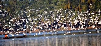 Cochin Munnar Alleppey Kovallam Kanyakumari Tour Package 8 Days