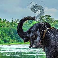 Cochin Munnar Alleppey Kovallam Kanyakumari Tour Package 8 Days