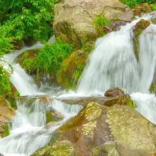Shimla Kullu Manali Delhi Tour Package 7 Days with Tamil Driver Image
