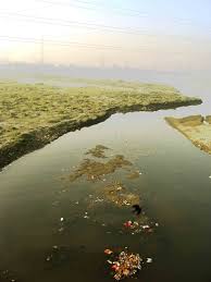 Shimla Kullu Manali Dharamshala Amritsar Chandigarh Agra Delhi Tour Package 10 Days with tamil drive