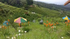 Nainital Kausani Ranikhet Tour 6 Days with Tamil Driver