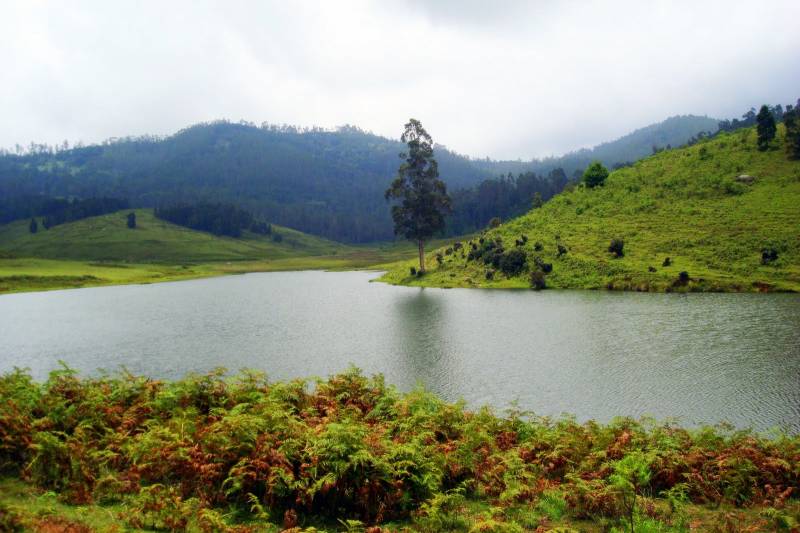 Bangalore Mysore Coorg Ooty Kodaikanal Tour 189682 Holiday Packages 