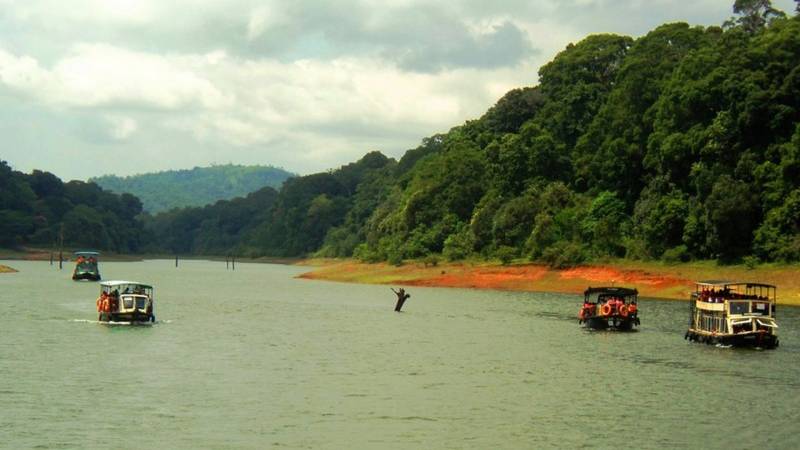 Short Escape To Periyar Tour