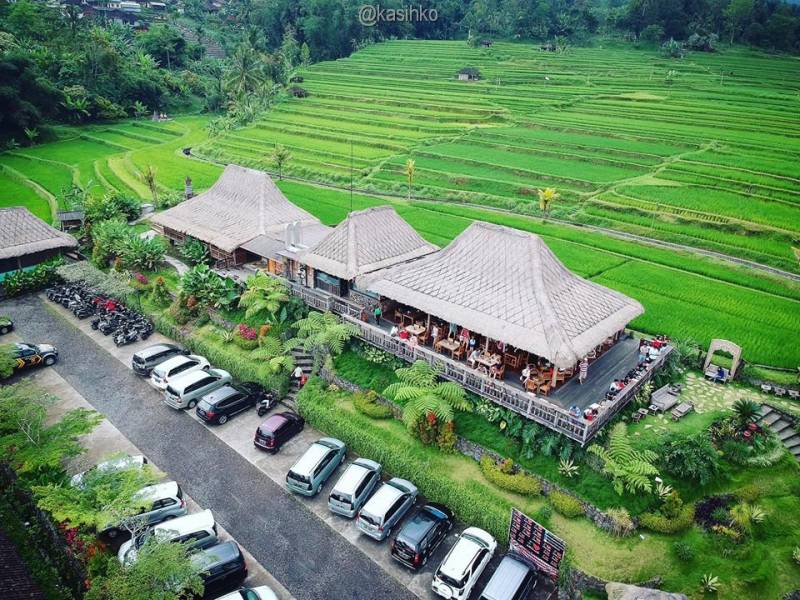 Bali Rejuvination & Spa/ Wellness Packages