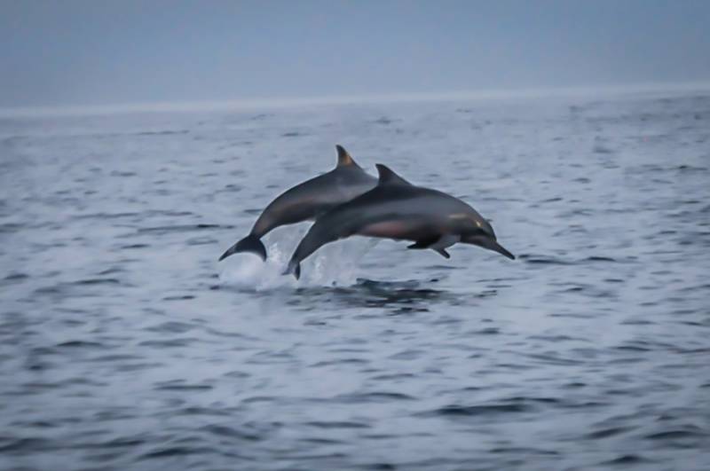 4night 5 Days Overnight Bali Package Tours