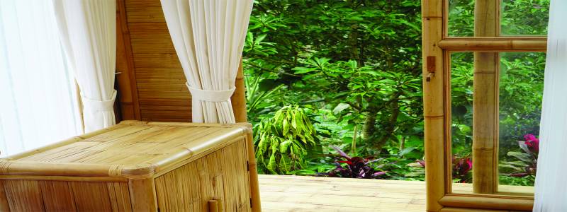 D'lekeleke Bamboo Villa - Mysty Jungle and Natural Tour
