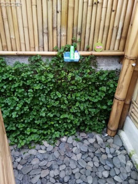 2n3d Stay At D'lekeleke Bamboo Villa Tour