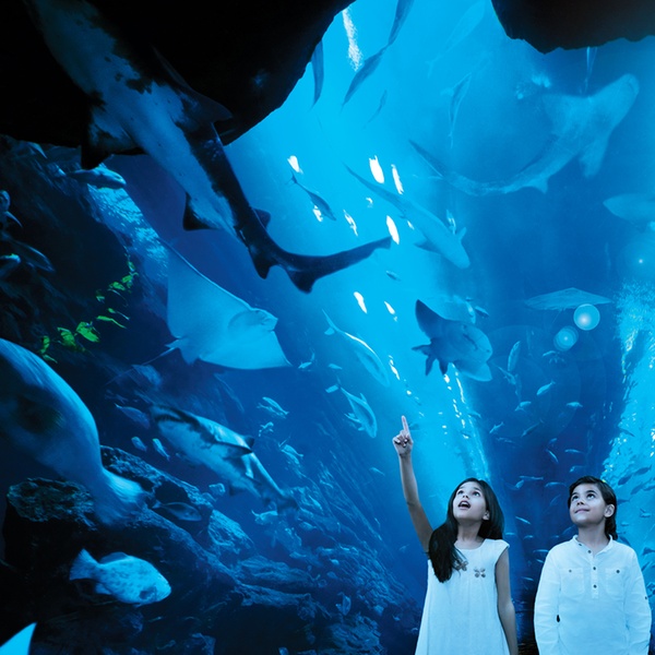 Dubai and Yas Island Tour Package