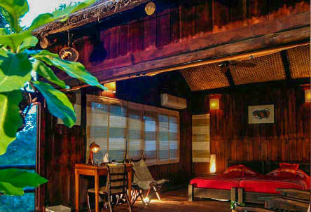 BANDHAVGARH TOUR PACKAGE