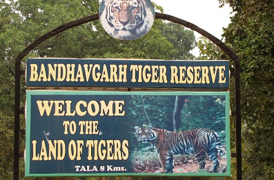BANDHAVGARH TOUR PACKAGE