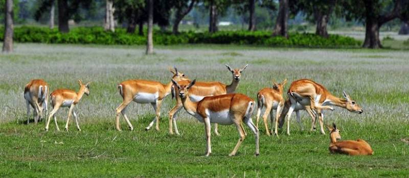 The Best Nepal Tour Package