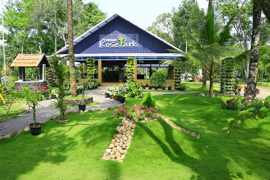 5 Days Kerala Tour Package