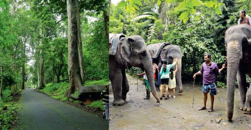 5 Days Kerala Tour Package