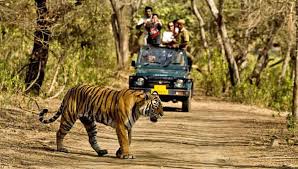 10 Days Nainital Corbett Mussoorie Tour