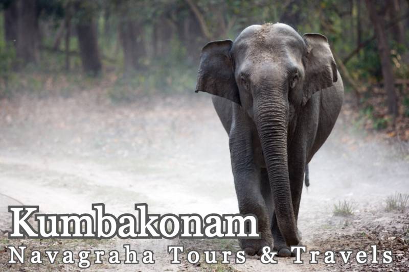 3 Days / 2 Nights Navagraha Tour Package from Kumbakonam